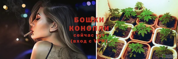стафф Белокуриха