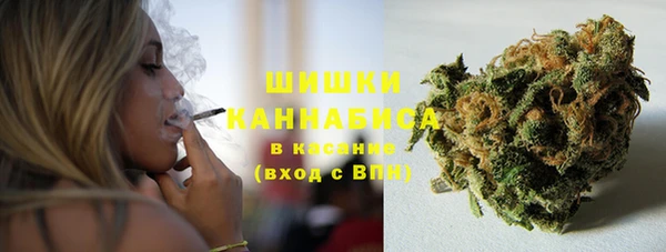 стафф Белокуриха