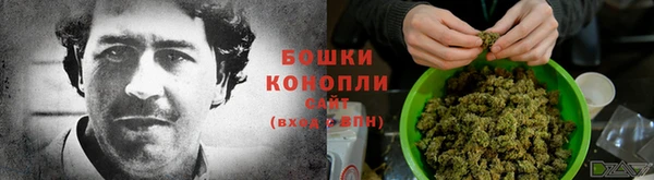гашик Белоозёрский