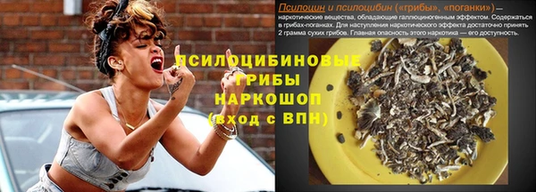 гашик Белоозёрский