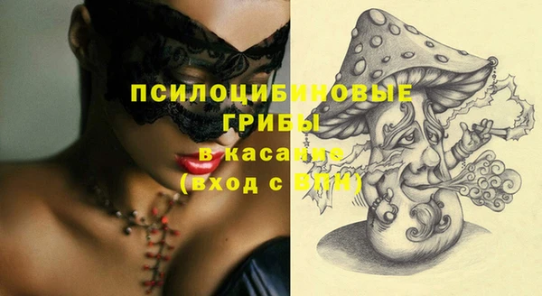 гашик Белоозёрский