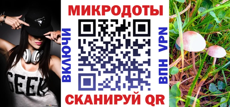 Галлюциногенные грибы Psilocybine cubensis  Купить где  Озёры 